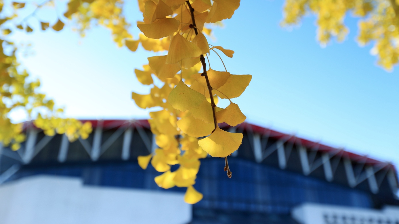 KU酷游官网(中国集团)有限公司