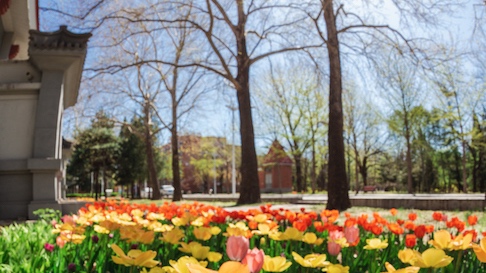 KU酷游官网(中国集团)有限公司