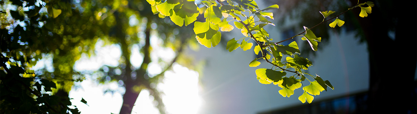 KU酷游官网(中国集团)有限公司